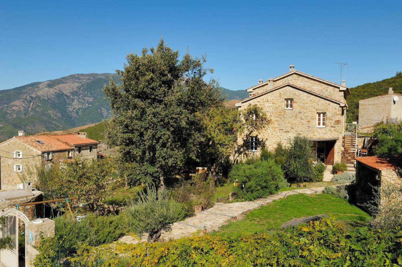 Entre Mer & Maquis, L'Ame De La Corse En Gites De Charme Avec Jacuzzi, Proche Ajaccio Peri Exterior foto