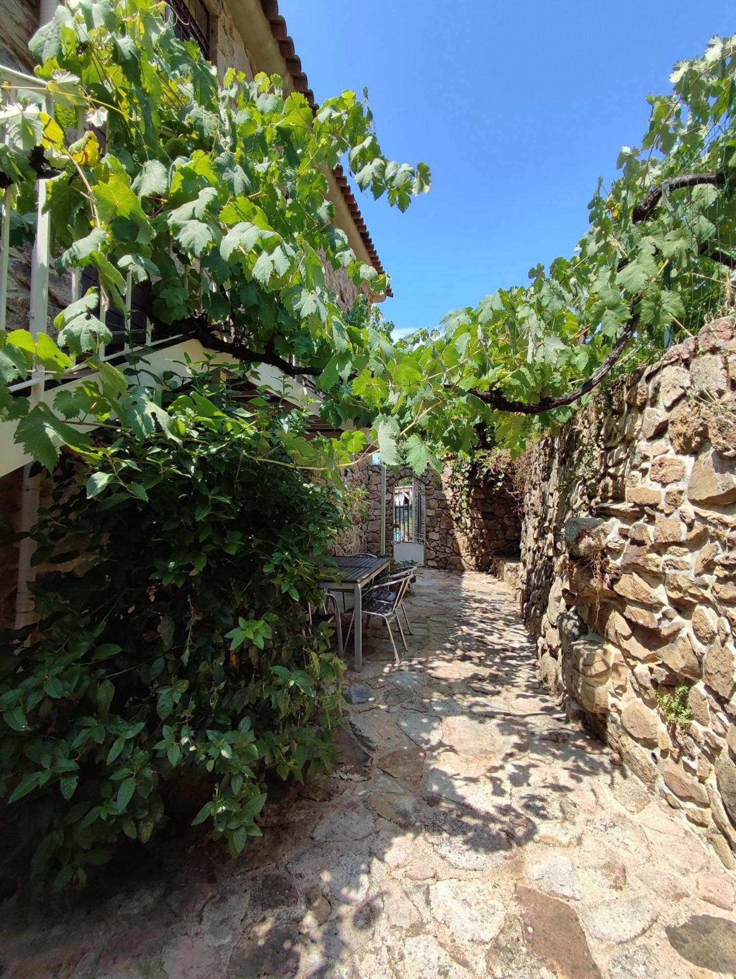 Entre Mer & Maquis, L'Ame De La Corse En Gites De Charme Avec Jacuzzi, Proche Ajaccio Peri Exterior foto